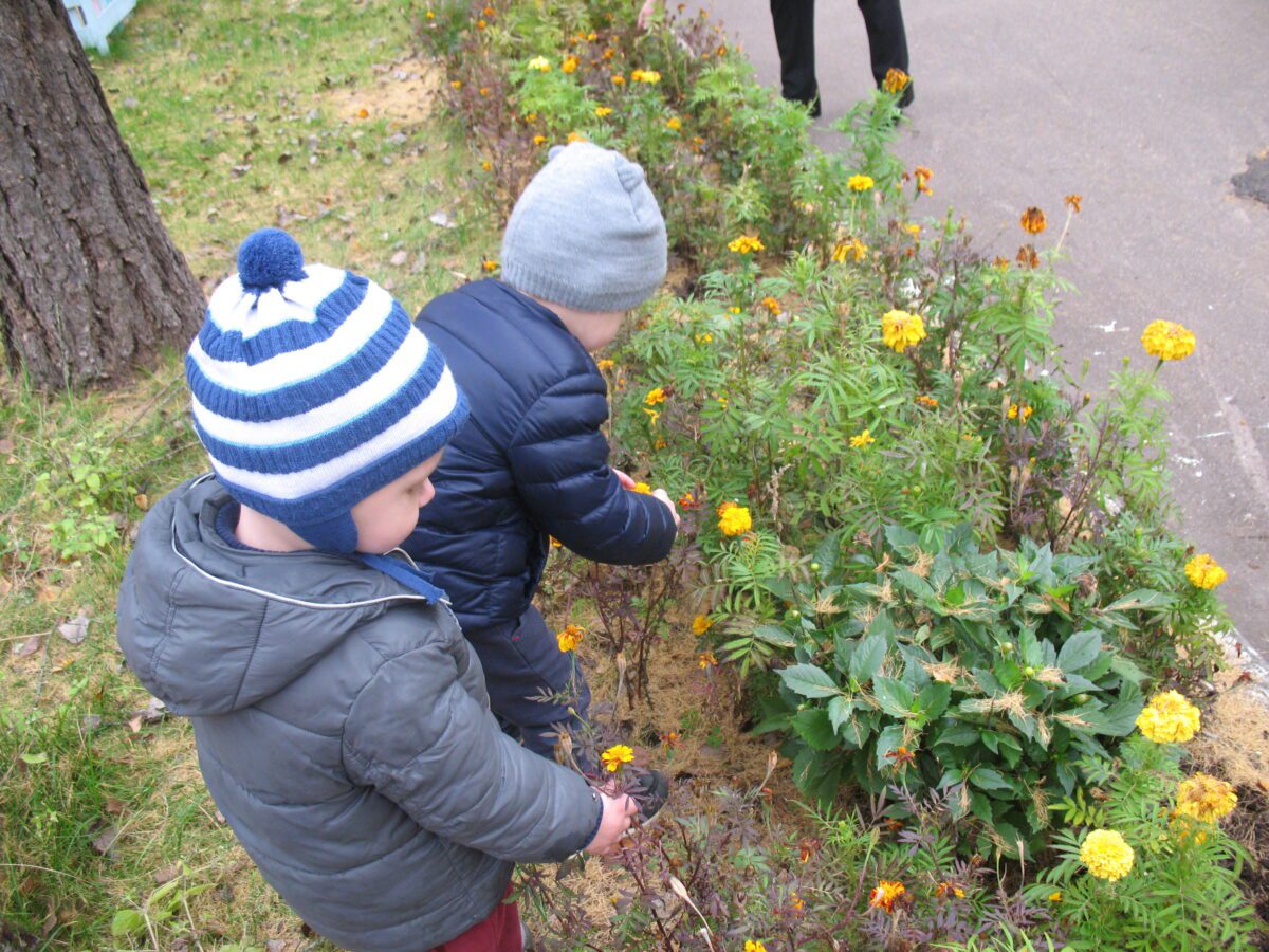 Фотогалерея