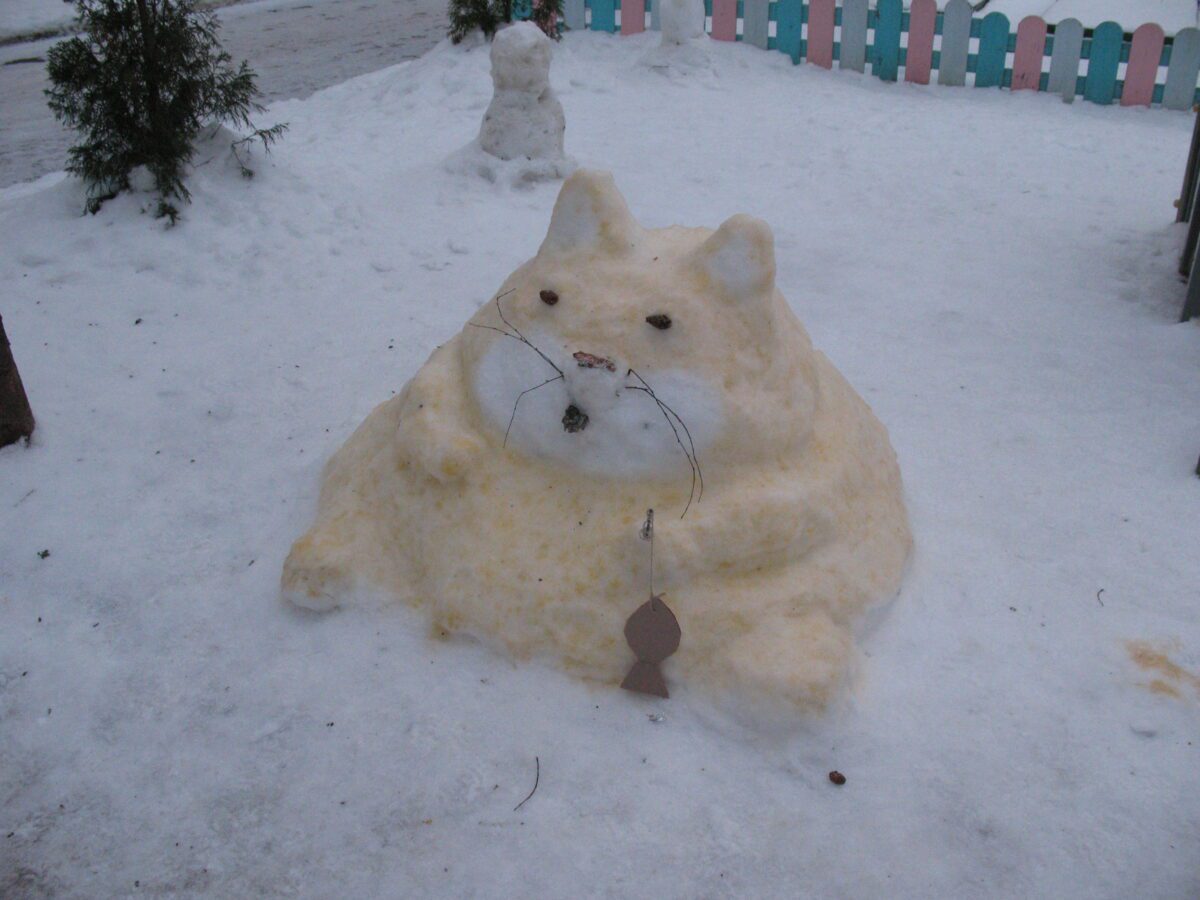 Фотогалерея