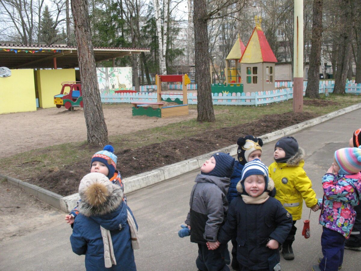 Фотогалерея