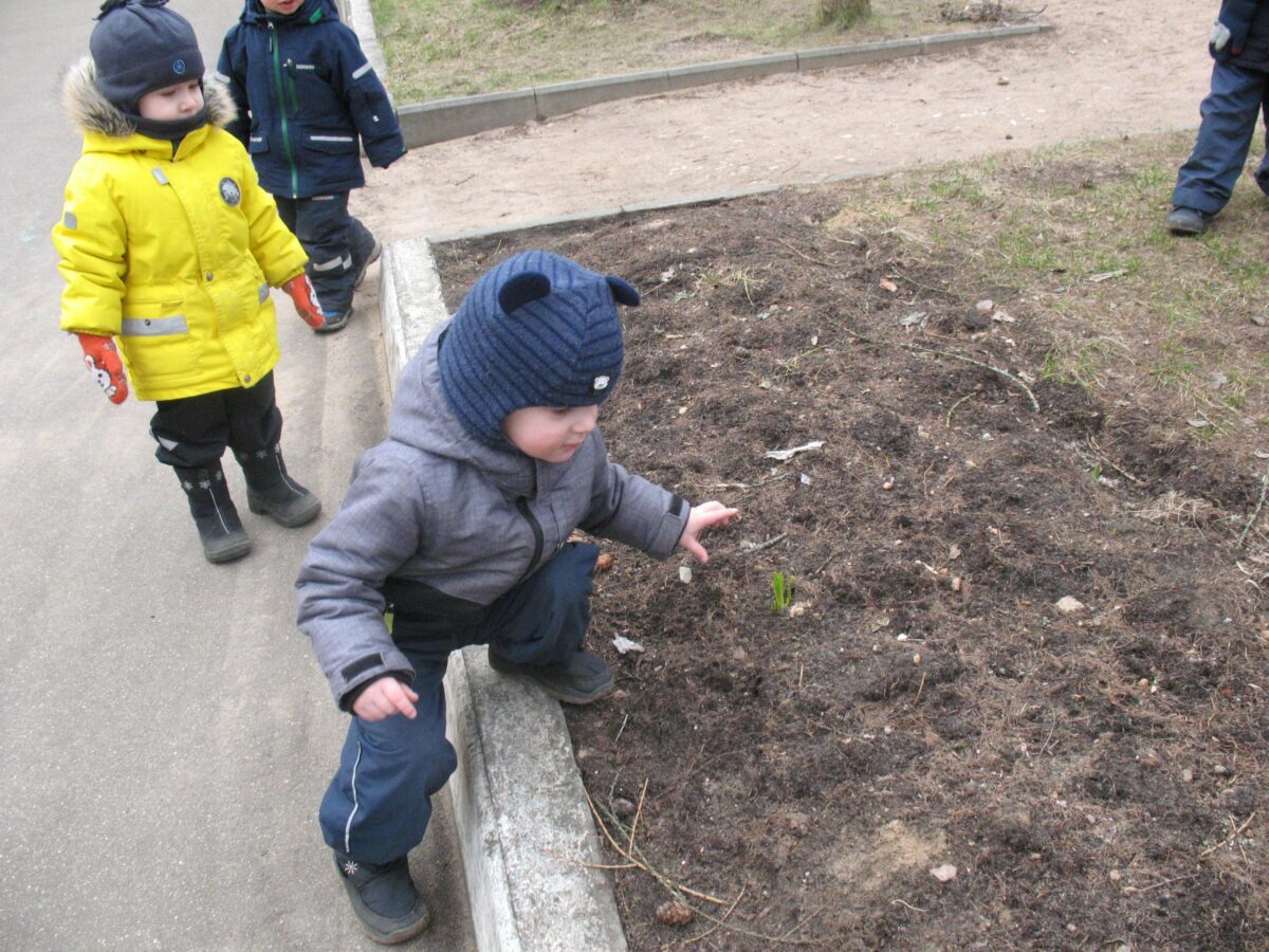 Фотогалерея