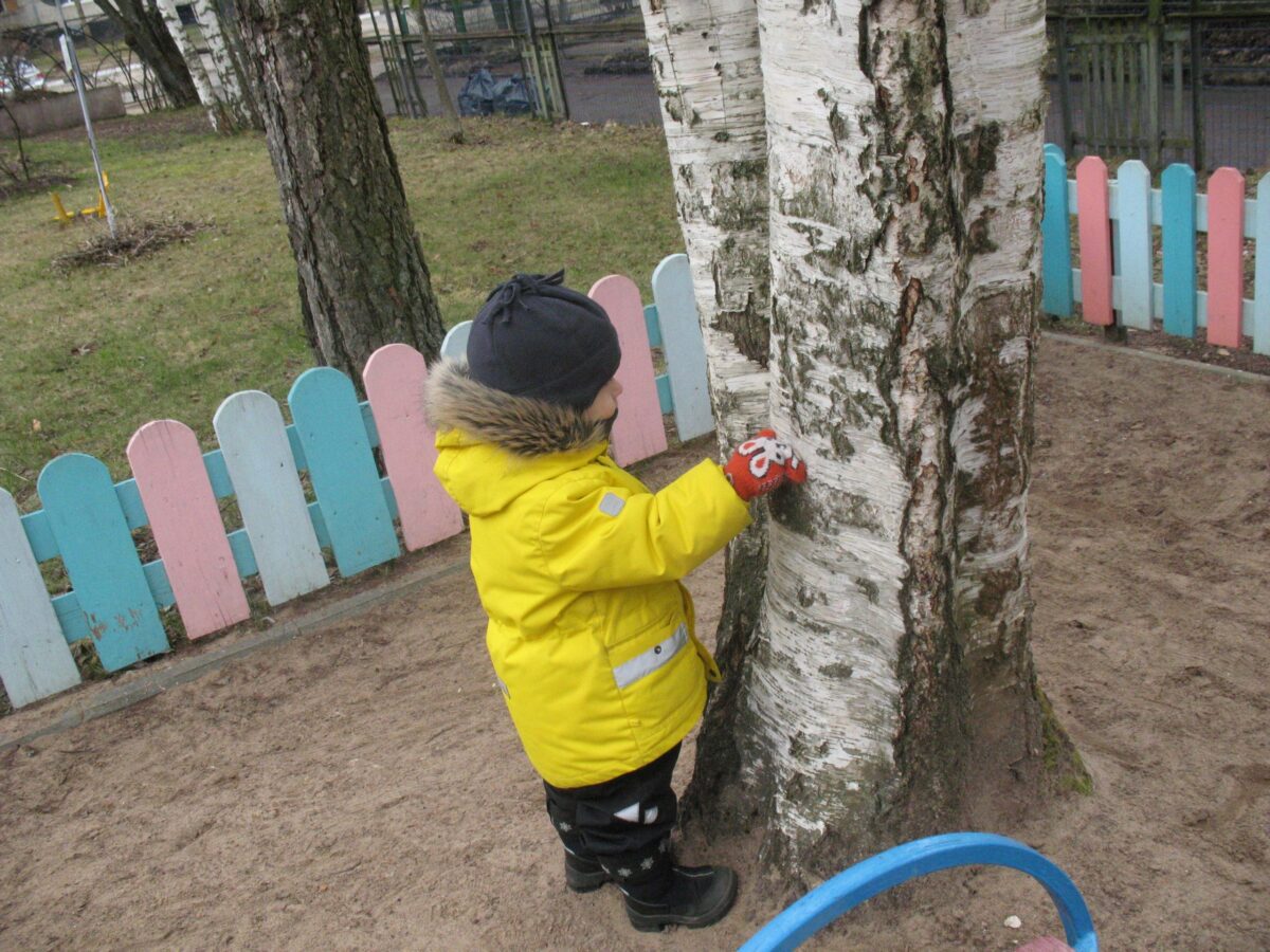 Фотогалерея