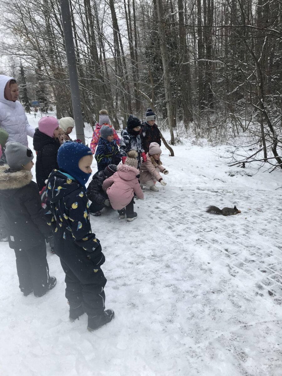 Фотогалерея