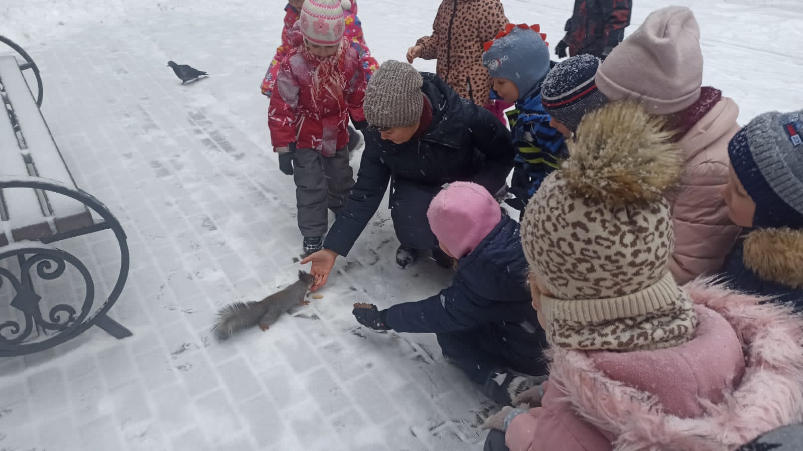 Фотогалерея